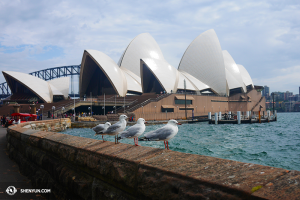 Una visita a la Ópera de Sydney, y un momento de paz y armonía… (Foto del bailarín Ben Chen)