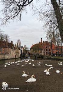 Más de Brujas. (Foto de la encargada de proyecciones Annie Li)