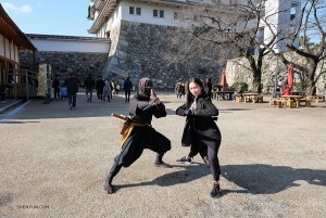 La danza clásica china y las artes marciales chinas son como dos hermanos separados al nacer, si no lo crees, pregúntale a la primera bailarina Michelle Lian y a este ninja.
