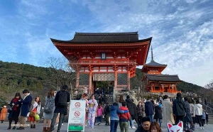 El Año Nuevo convoca a usar ropa festiva y los habitantes de Kioto cumplen usando el kimono.

(Foto de Angelia Wang)