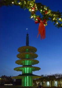 Después de la función de la tarde en vísperas del Año Nuevo, los artistas visitan la ciudad japonesa de San Francisco.

(Foto de Johnny Chao)